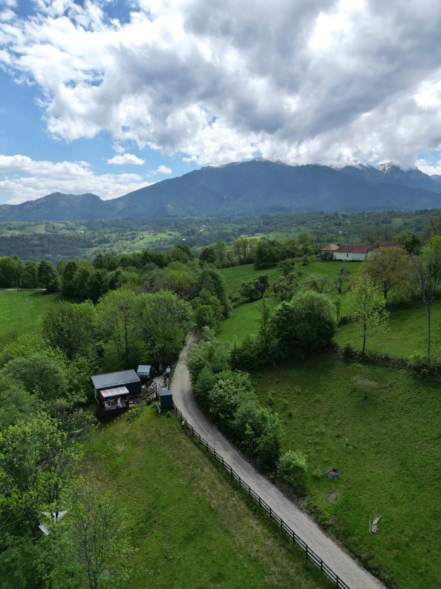 Doza De Verde Retreat&Spa Bran-Adults Only Sohodol  Exterior foto